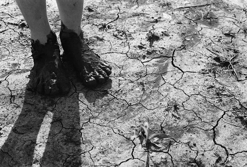 Image: Wondering if Tempe artist Ashley Czajkowski took this on her last summer vacation.