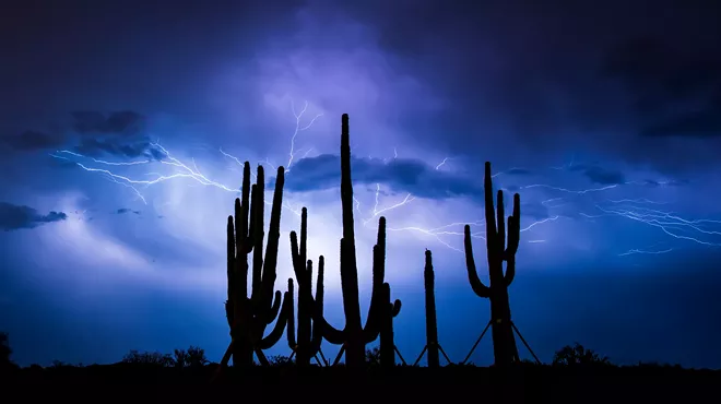 lightning striking behind the silhouettes of saguaro cacti