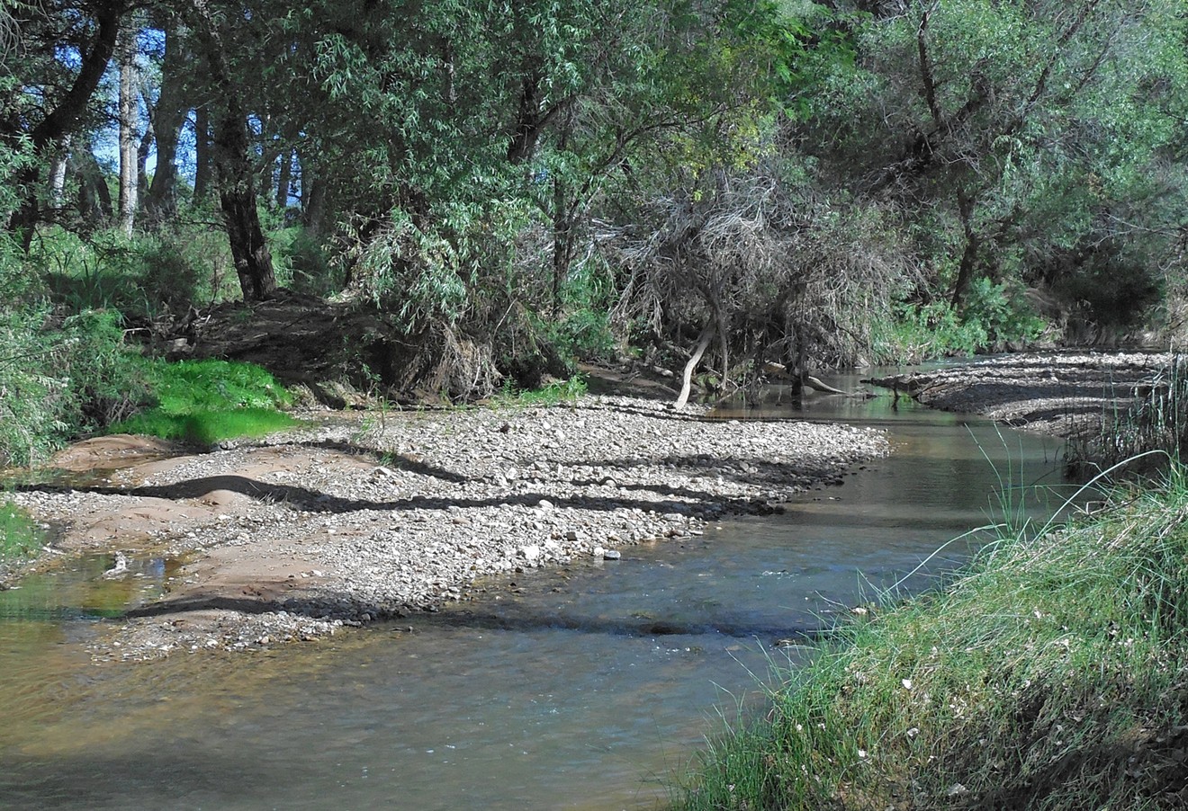 The San Pedro River, the last free-flowing river in the American Southwest, in 2013.