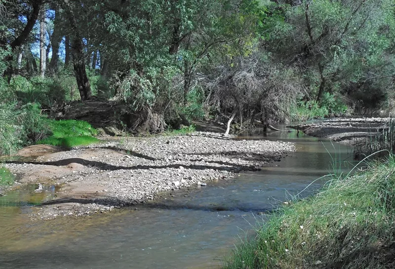 Image: The San Pedro River, the last free-flowing river in the American Southwest, in 2013.