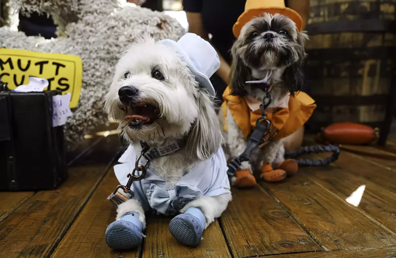 Image: Tucker (left) Wilson (right) dressed as characters from "Dumb and Dumber" for Pedal Haus Brewery's Howl-O-Ween party.