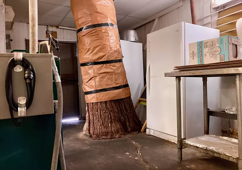 Image: Roman's has its own tree.