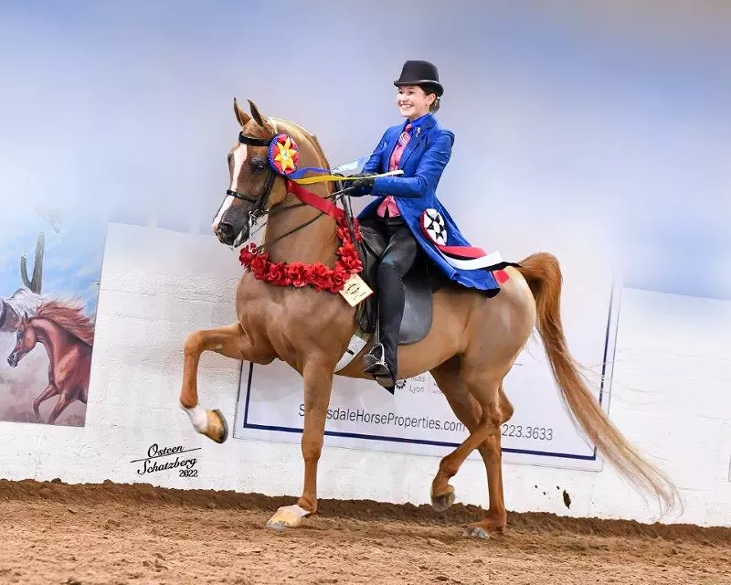 Image: A woman on a horse.