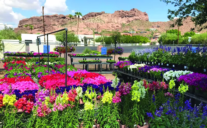 Image: Shop Local to Upgrade Your Backyard This Summer