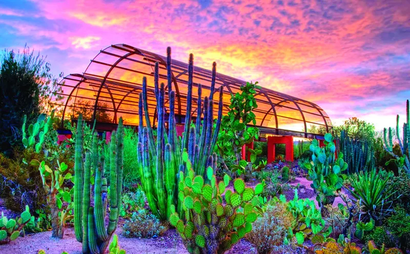 Image: Socially Distanced Summer Fun in Metro Phoenix: A Short Guide