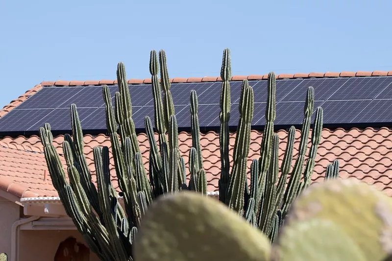 Image: solar panels on a roof, partially obscured by a cactus
