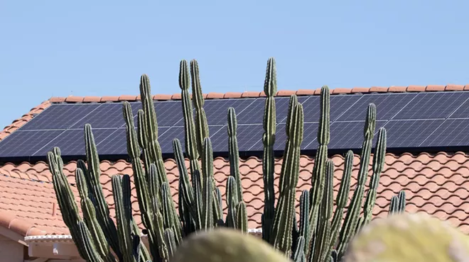 solar panels on a roof, partially obscured by a cactus