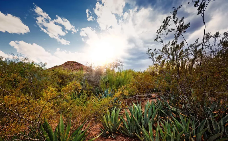 Image: Some of Phoenix's Most Popular Cultural Attractions Are Beginning to Reopen