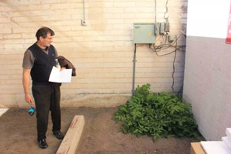 Image: Mark Lewis, a botanist and urban forager, admiring tomato plants in an Old Town alley.