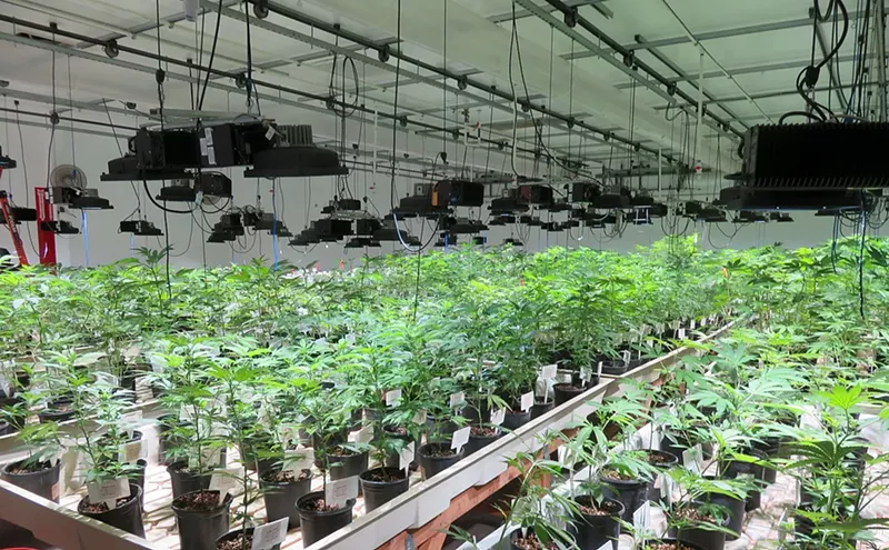 Image: State Should Ease Rules on Medical Marijuana Exams and Deliveries, Advocates Say