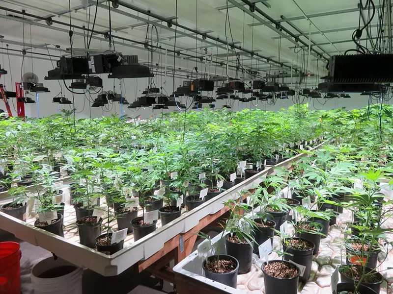 Image: A local doctor and a delivery company seek to change state rules for the safety of medical marijuana patients.