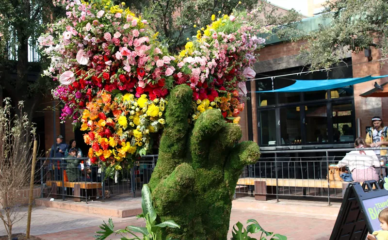 Image: Tempe Blooms festival turned downtown into an explosion of color