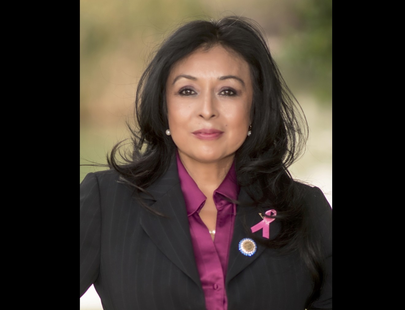 Lydia Hernandez is running for Phoenix City Council in District 5. Her visit to a Texas education association brought controversy and a two-year ban from the group's events.