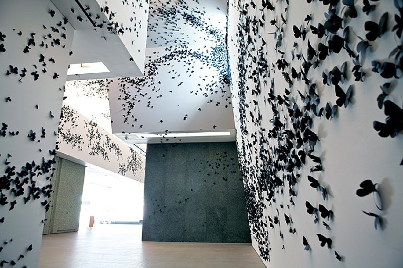Carlos Amorales, Black Cloud, 2007. Installation view at Phoenix Art Museum, 2013. Diane and Bruce Halle Collection.