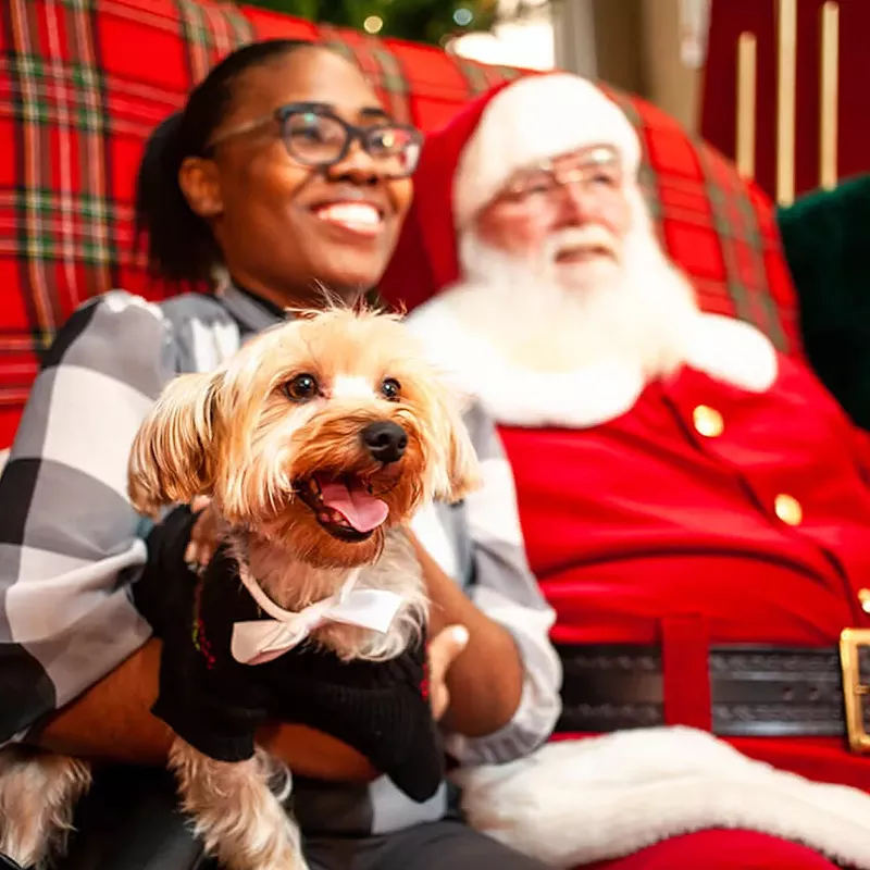 Image: Santa Paws is happening at the Palm Court inside Scottsdale Fashion Square.