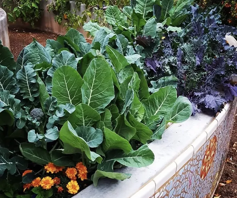 Image: Echo Canyon fifth and sixth-grade garden. The tile work was designed by one of the teachers.