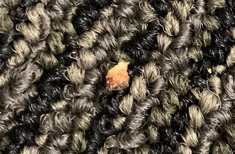Image: A state DES employee told New Times this is a photo of a dead bed bug found in one of the DES Surprise office's cubicles.