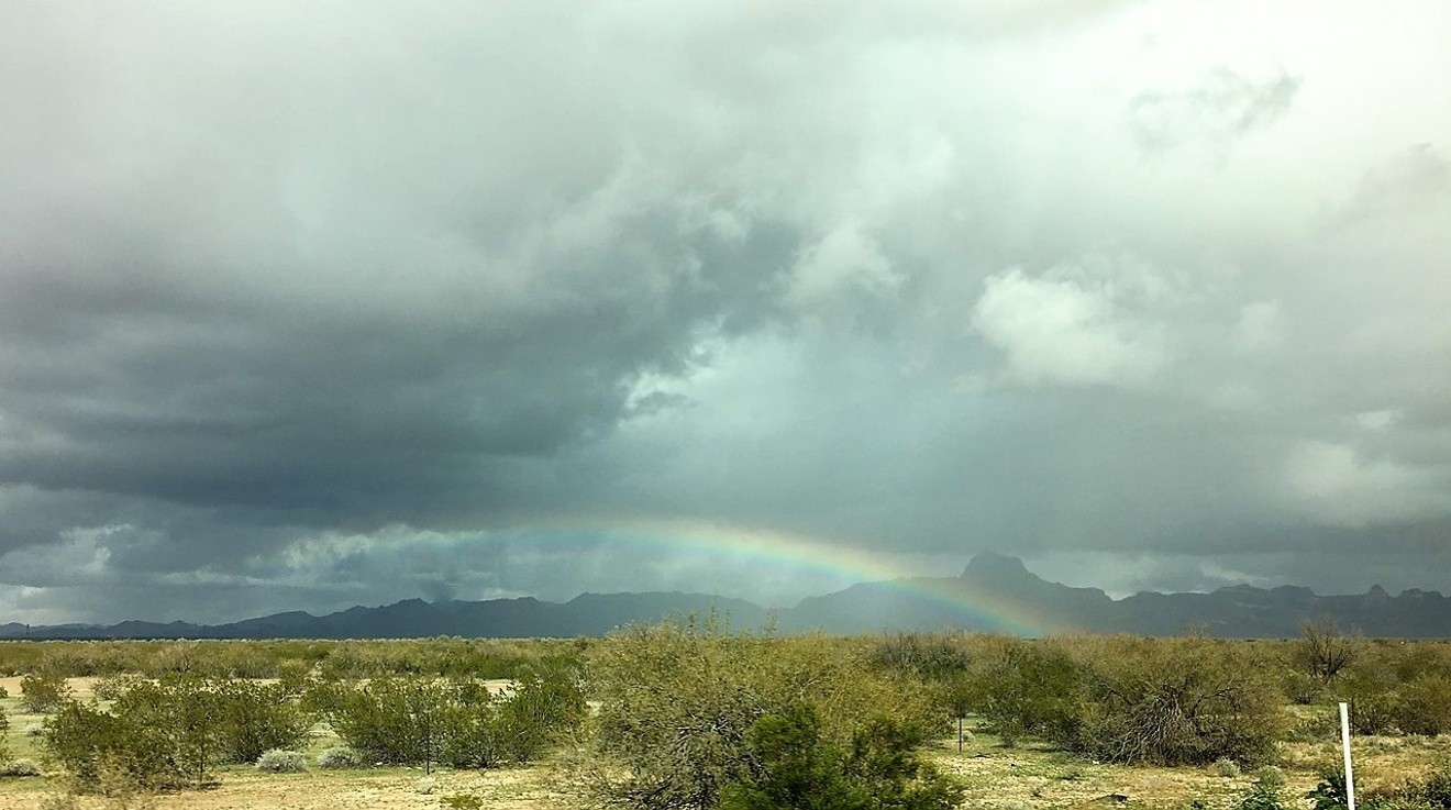 Despite the rainy winter, Arizona is still in a long-term drought.
