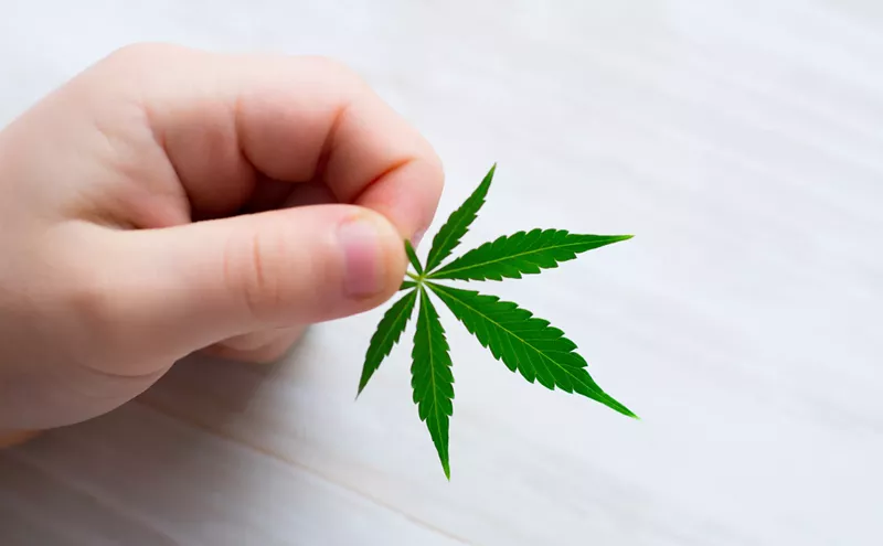 Image: Tots and pot: Arizona court OKs medical dispensaries near preschools