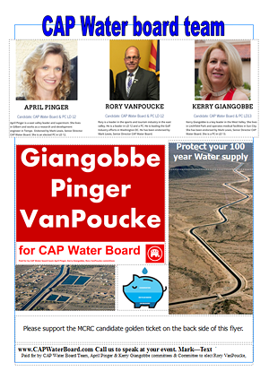 Pinger estimated that 5,000 of these fliers were distributed during her, Giangobbe's and Van Poucke's campaign. - COURTESY OF APRIL PINGER