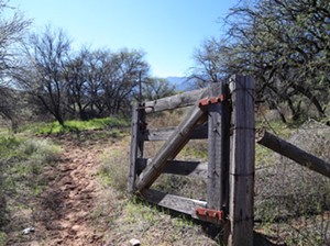 Sue Black wanted to have zip lines installed at Rockin' River Ranch State Park, employees said. - ARIZONA STATE PARKS