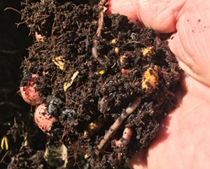 Completed compost, or "black gold." - COURTESY OF THE URBAN FARM
