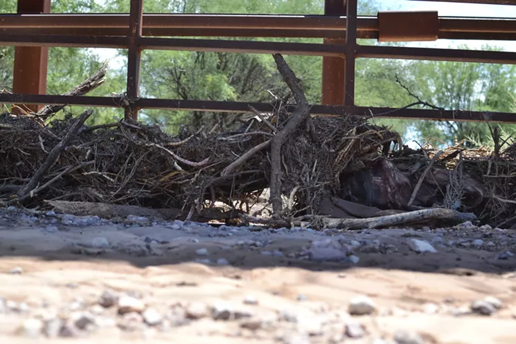 Sticks, debris, and a backpack build up behind grates intended to allow water to flow through. - ELIZABETH WHITMAN
