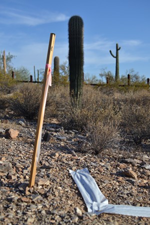 Fresh surveyor stakes about 60 feet from the border, on August 1, 2019. - ELIZABETH WHITMAN