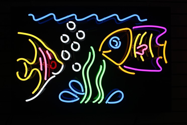 It's very soothing to look at this neon aquarium. - BRETT BERRES