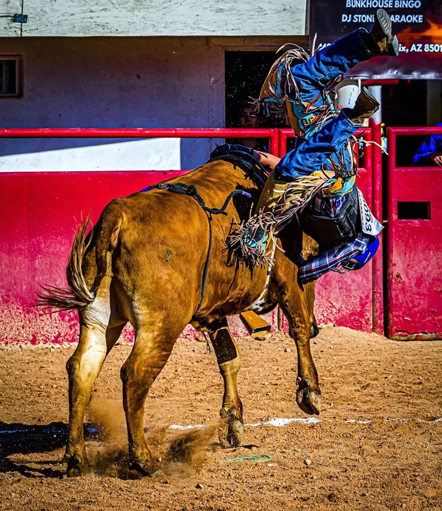 Cowboy thrown from steer