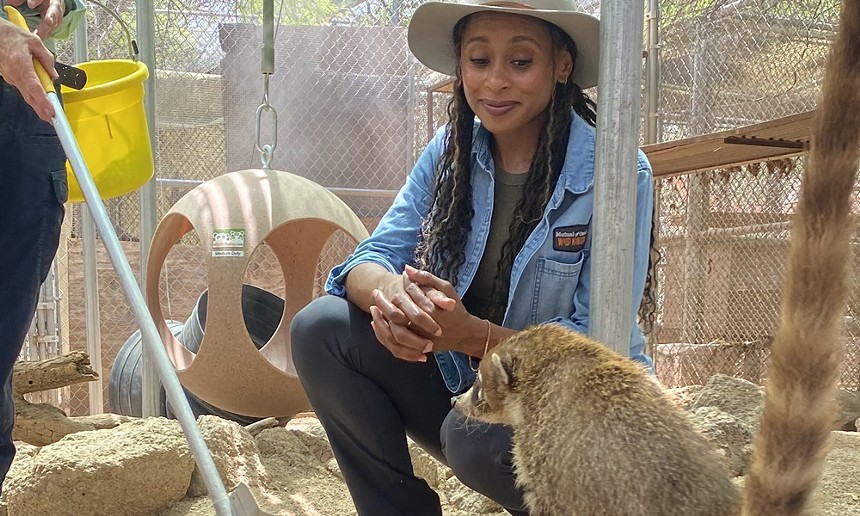 A Black woman interacting with a coati.