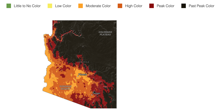 a fall foliage map of arizona that is mostly orange (moderate color) in the southern part of the state and black (past peak color) in the north