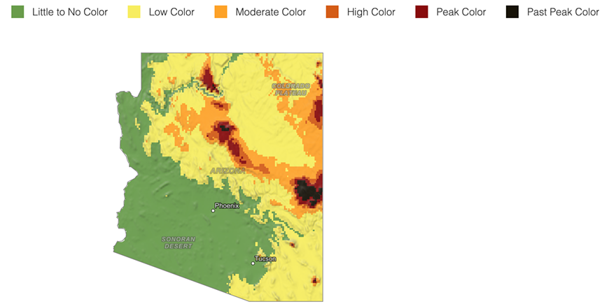 a fall foliage map of arizona that is green (little to no color in Phoenix and to the southwest, yellow (low color) and orange (moderate color) to the east and north, with patches of deep orange (high color) and maroon (peak color)