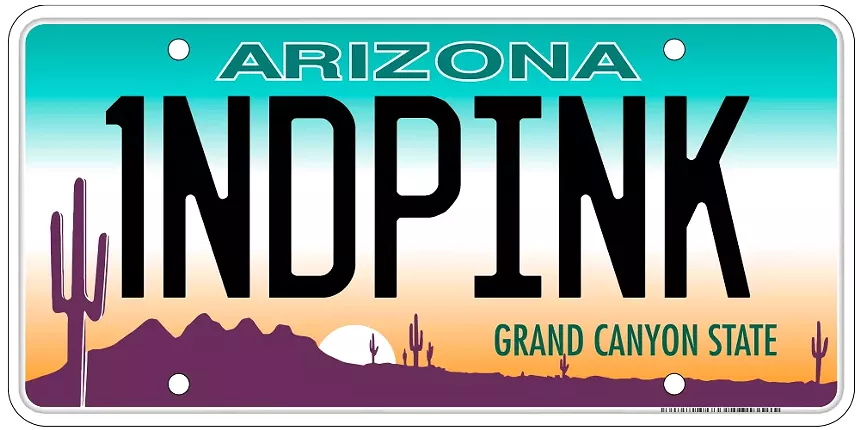 an arizona license plate that says "1NDPINK"