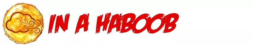 a logo of a cloud with a face blowing wind and the words 'in a haboob'