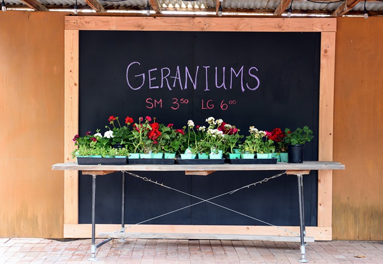 Botanica at The Farm offers in-season plants and flowers, including geraniums, succulents, herbs, and air plants. - COURTESY OF THE FARM AT SOUTH MOUNTAIN