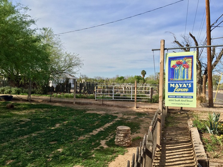Maya’s Farm offers fresh, local flowers and farm tours down 32nd Street. - LAUREN CUSIMANO