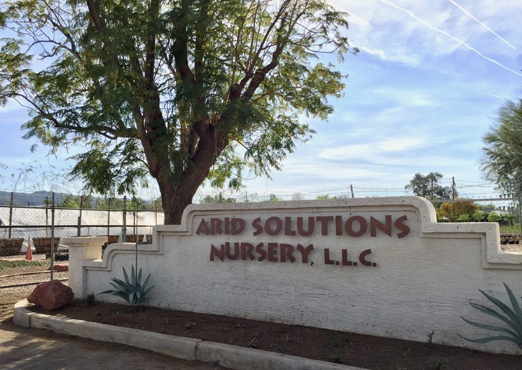 Arid Solutions Nursery has 30 acres of growing grounds open to the public. - LAUREN CUSIMANO