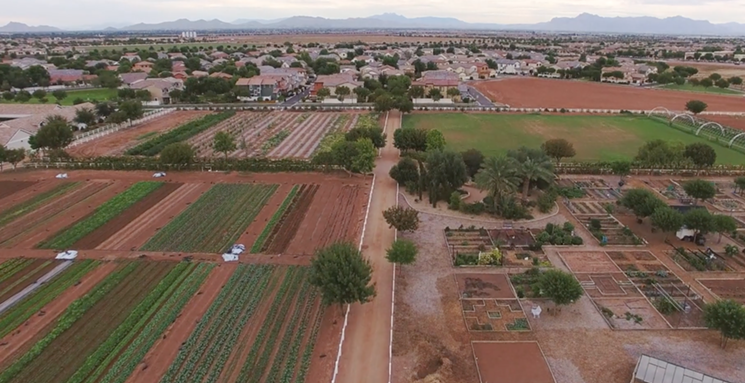 Plots at The Farm at Agritopia come with access to its tool shed and gardening events and classes. - KITCHEN SINK STUDIOS