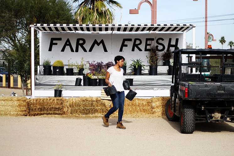 Kaylanna Etsitty switches out the offerings on the "farm fresh" stand. - EVIE CARPENTER