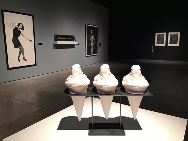 Pig Cones by Colette Hosmer in SMoCA's "I'm Sorry But It's Hard to Imagine" exhibit. - COLETTE HOSMER/PHOTO BY LYNN TRIMBLE