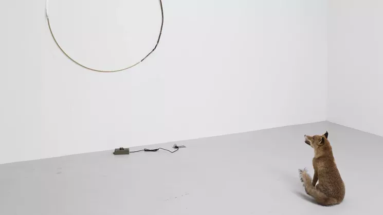 Gabriel Rico, ODA II, 2016. Taxidermy fox, brass, branch, neon, concrete and rock, 230 x 190 x 300 cm. - PHOTO COURTESY OF STUDIO GABRIEL RICO, GALERIE PERROTIN, AND CALA ALLIANCE.
