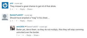 A sample of comments on Breitbart.com about Elmi's case in 2016. - BREITBART.COM