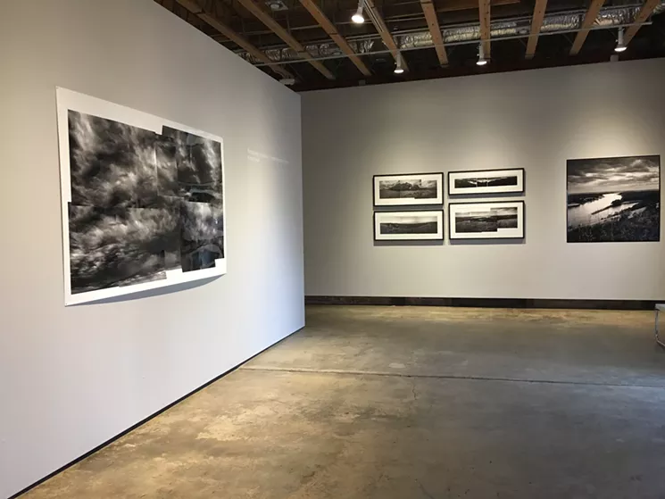 Krista Elrick works featured in her "Retracing Audubon" exhibition at ASU's Northlight Gallery. - LYNN TRIMBLE