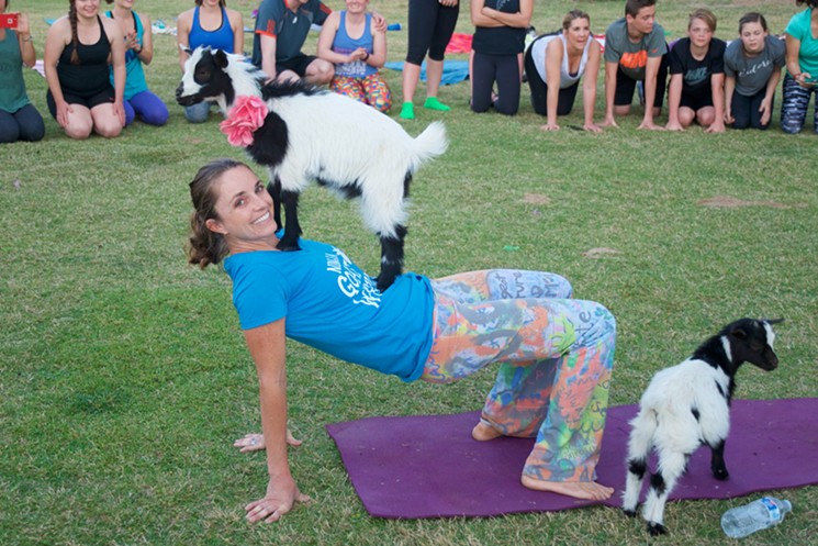 Ain't no party like a Goat Yoga PJ Party. - MEGHAN CYR