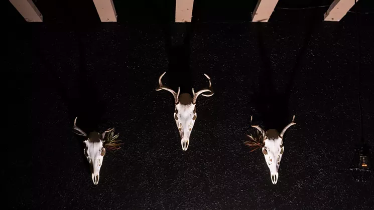 The walls at Counter Intuitive are decorated with animal skulls and historic Arizona photography. - SHELBY MOORE
