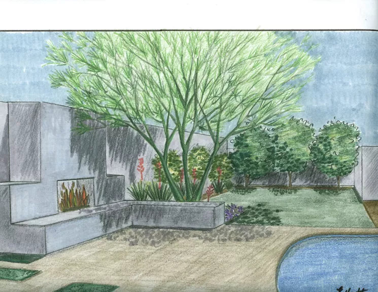 Channel your inner Al Beadle during a Midcentury Modern garden design class at Desert Botanical Garden. - ERIN HUTTON