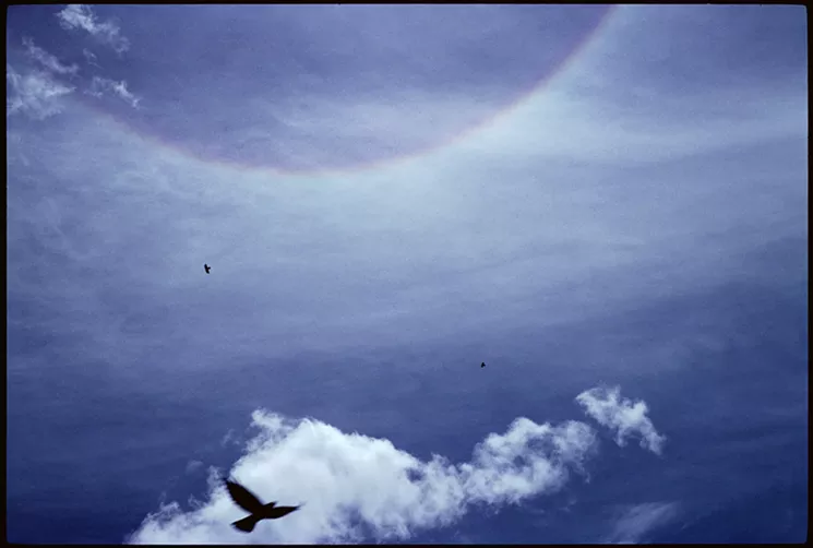 Crows and halo above Rongbuk Monastery near Mt. Everest base camp. May 2007. © Marissa Roth. - MARISSA ROTH