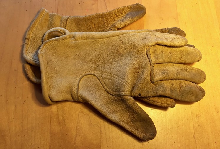 Gloved hands are essential for bat work. - LAUREN CUSIMANO