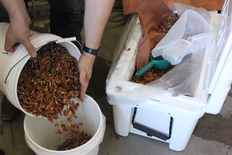 Preparing smoked nuts destined to become part of Wren House and Little Miss BBQ's pecan pie wheat wine. - CHRIS MALLOY